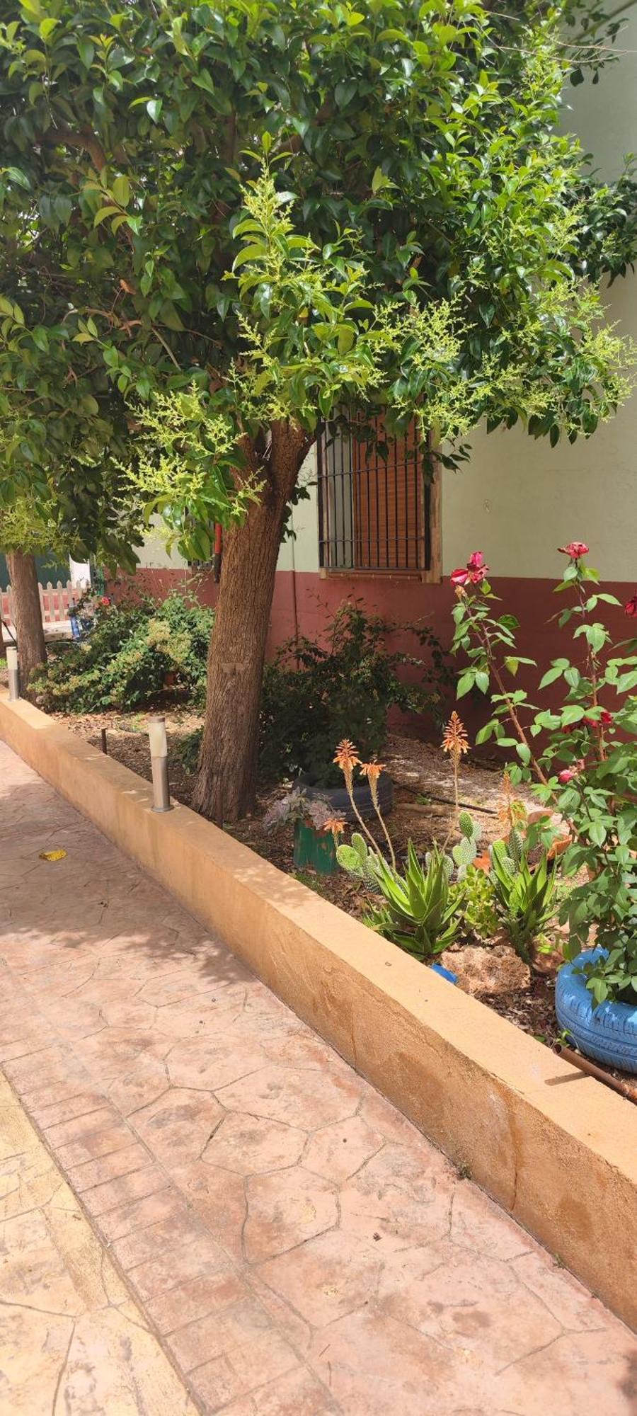 Casa Rural El Tejar San Clemente  Exterior photo