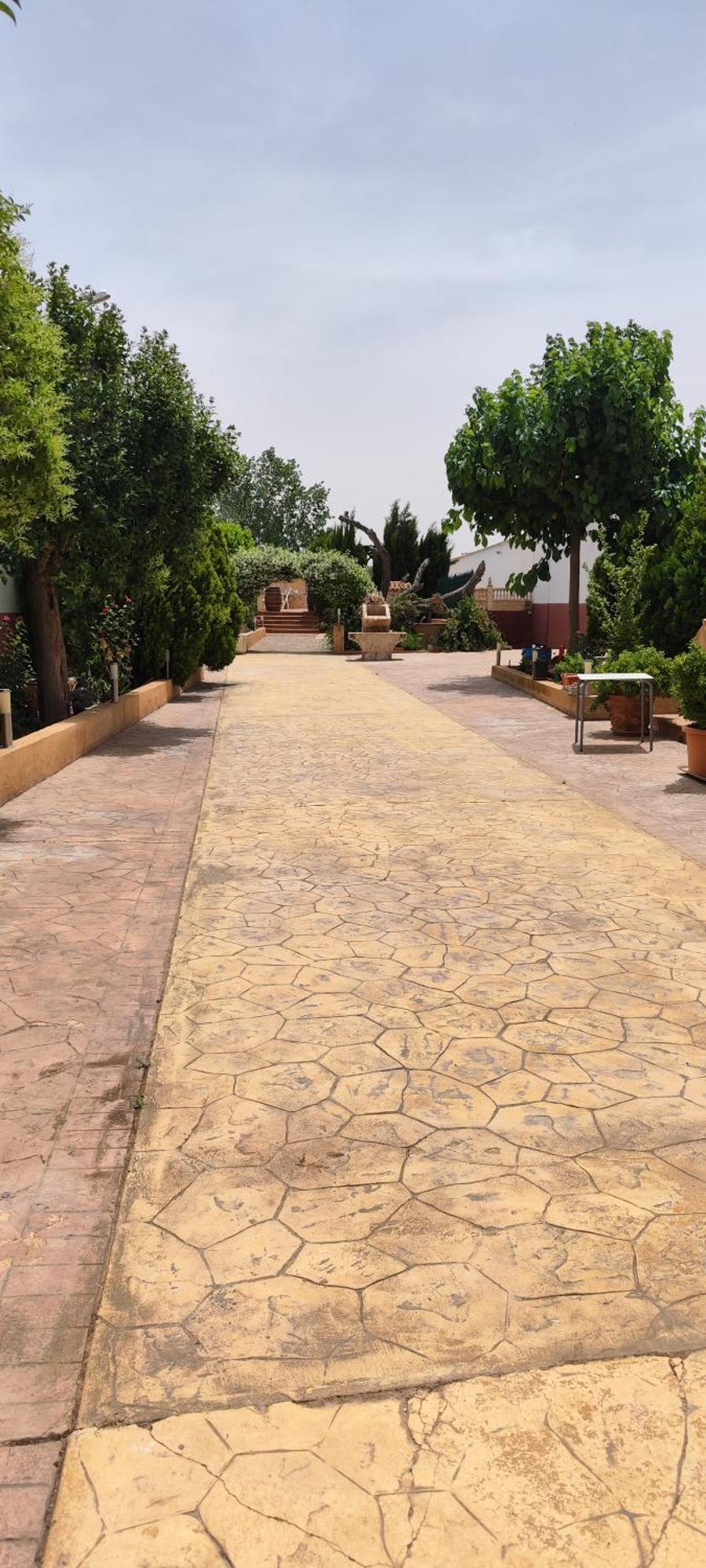 Casa Rural El Tejar San Clemente  Exterior photo